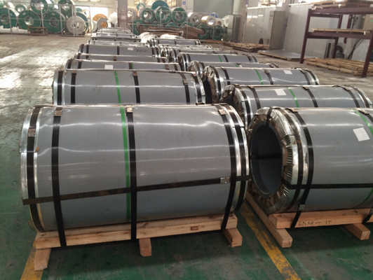 DIN 410 1000mm van het de Rolastm 4mm SS Blad van het Breedte Warmgewalste Roestvrije staal de Rolbedelaars